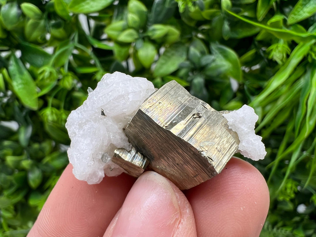 Rare crystallisation Pyrite,Borieva mine,Bulgaria,floating Pyrite,golden Pyrite,Pyrite cluster,mini Collection specimen,Rainbow Pyrite