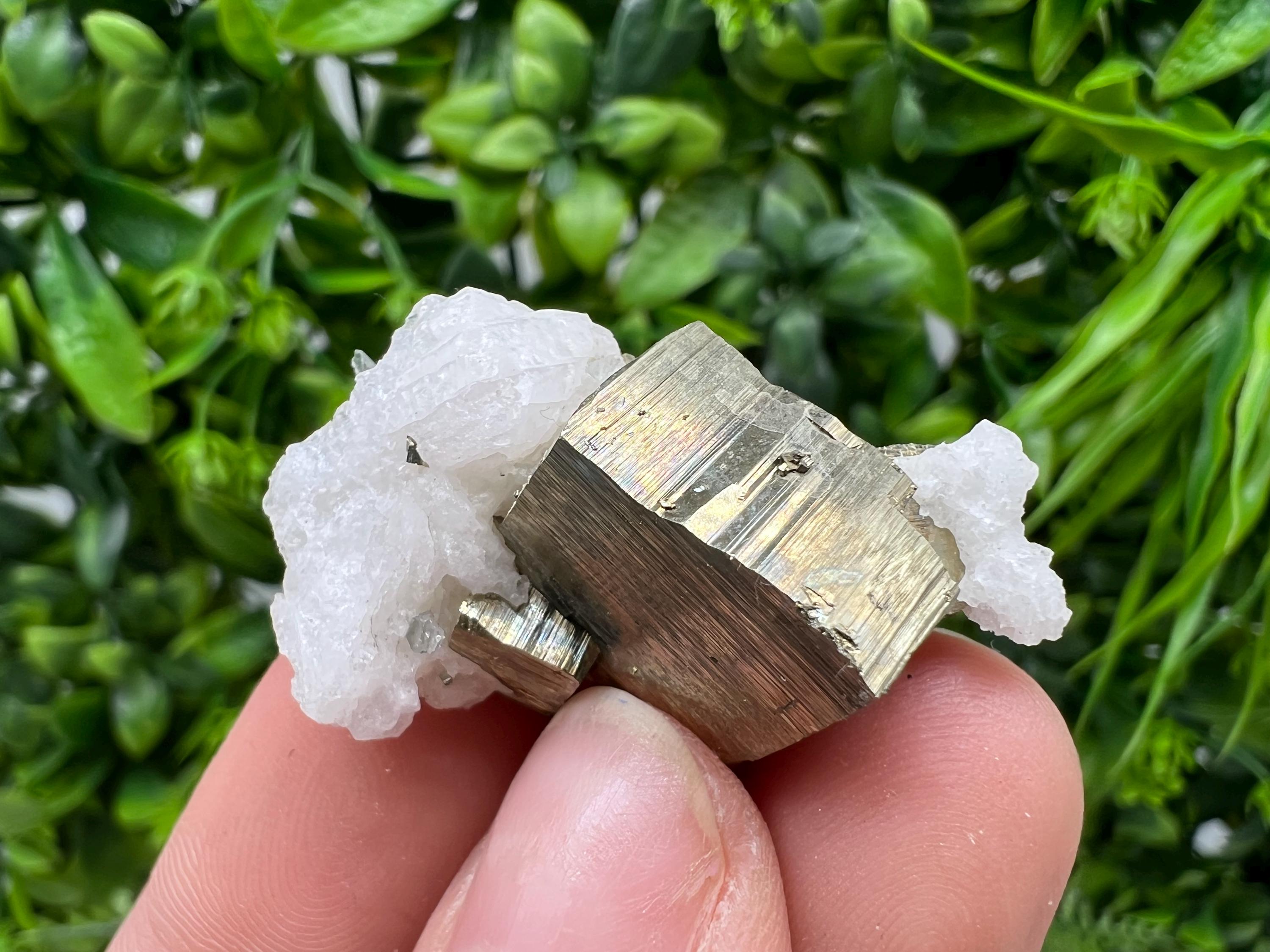 Rare crystallisation Pyrite,Borieva mine,Bulgaria,floating Pyrite,golden Pyrite,Pyrite cluster,mini Collection specimen,Rainbow Pyrite