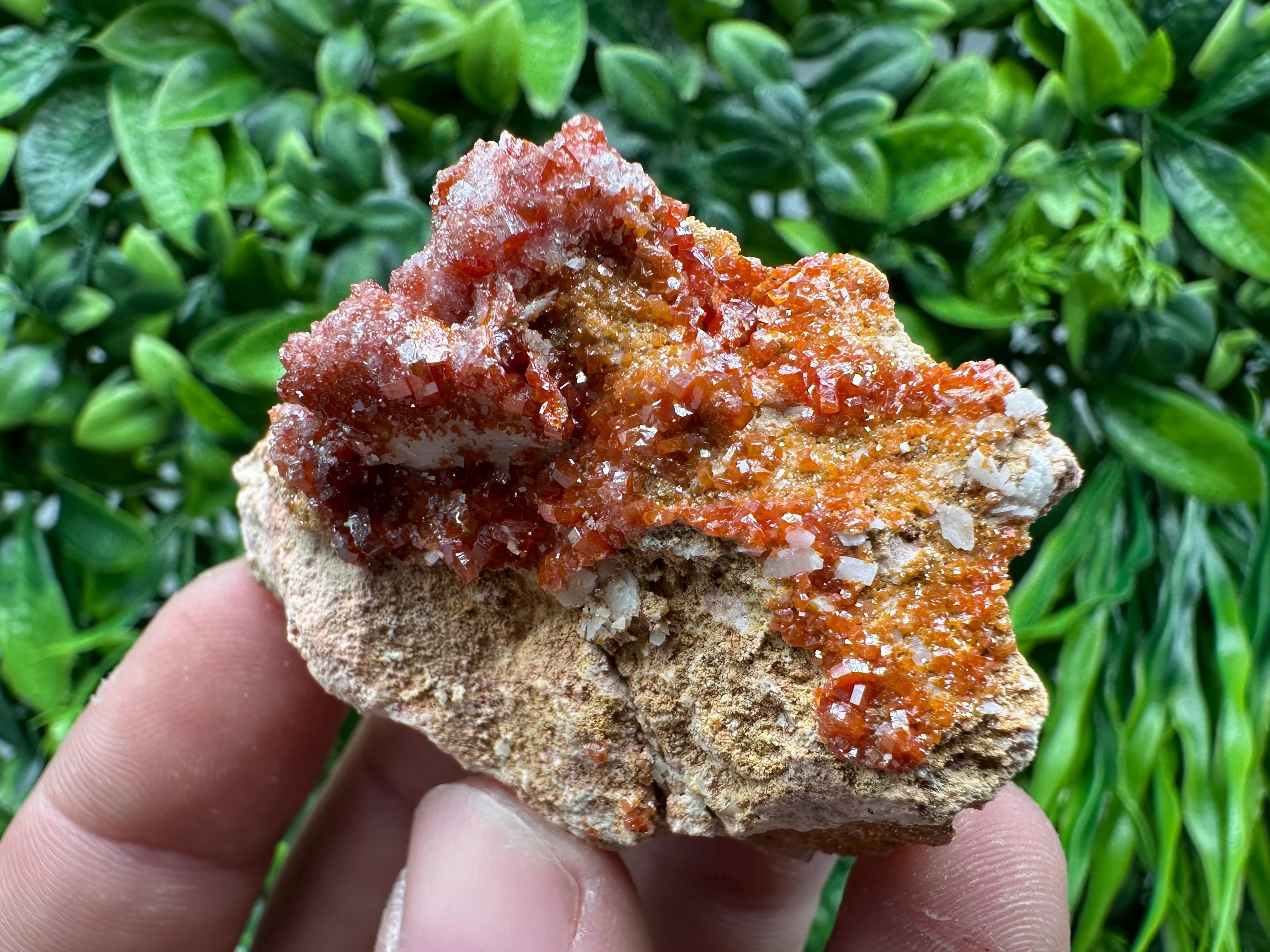 Red Vanadinite Crystal Cluster on Matrix, Morocco Mineral Specimen