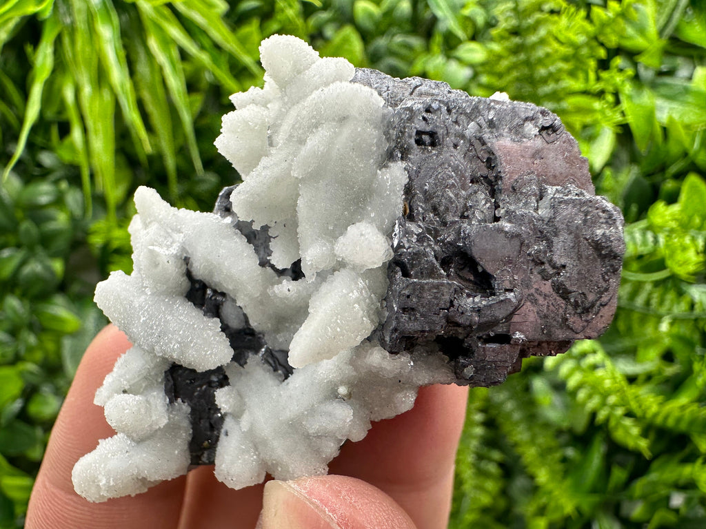 Rare Calcite on Galena: Borieva Mine, Bulgaria