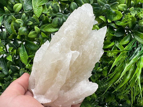 Calcite on Green Quartz: Rare Healing Crystal from Bulgaria
