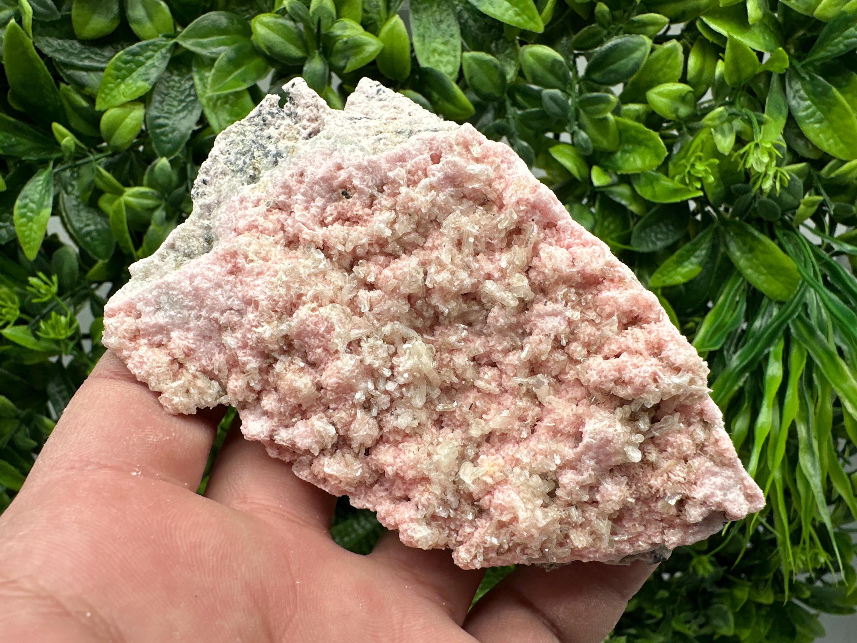 Rhodochrosite on Quartz: Pink Mineral Specimen, Starnica Mine