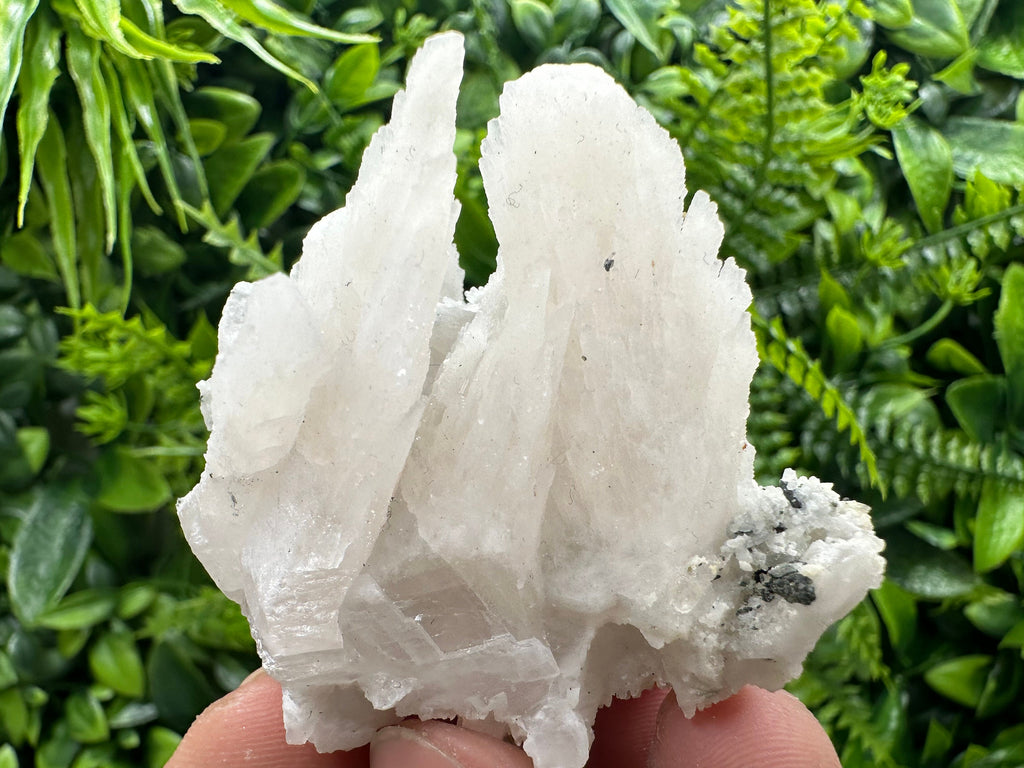 Calcite on Green Quartz: Djurcovo Mine, Bulgaria Healing Crystal