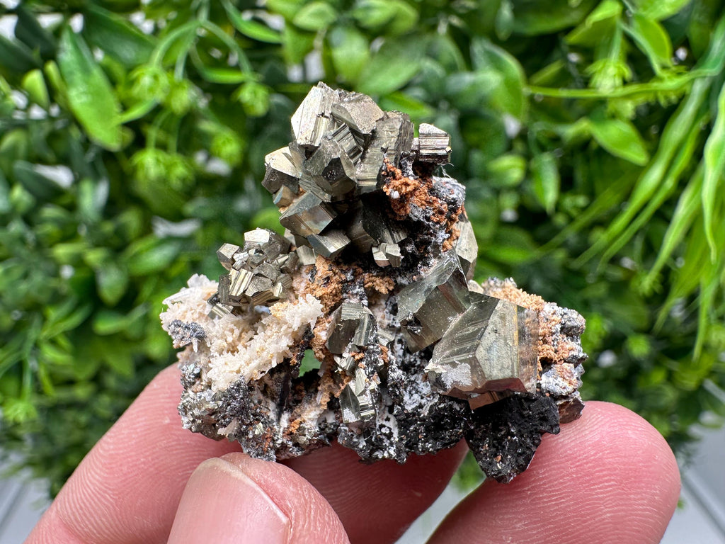 Golden Pyrite,Sphalerite from 9th September mine,Madan,Bulgaria,natural,collectible mineral specimen,home decor crystal,Pyrite cluster,