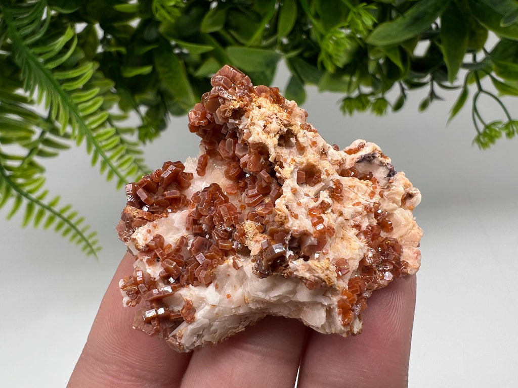 Red Vanadinite on Barite from Marocco,crystal minerals Speciment cluster Vanadinite crystal Vanadinite Geology Vanadinite cluster minerals