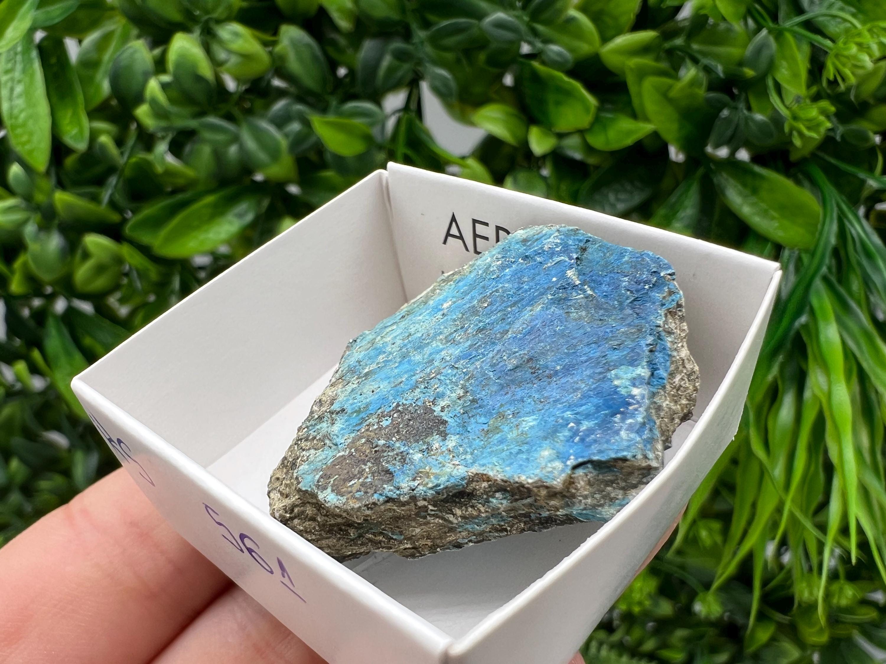 Rare Raw Aerinite Mineral Specimen: Lleida, Spain Crystal Collection (3.5/4 CM)
