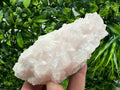 UV Reactive Mangano Calcite Crystal: Androvo Mine, Bulgaria