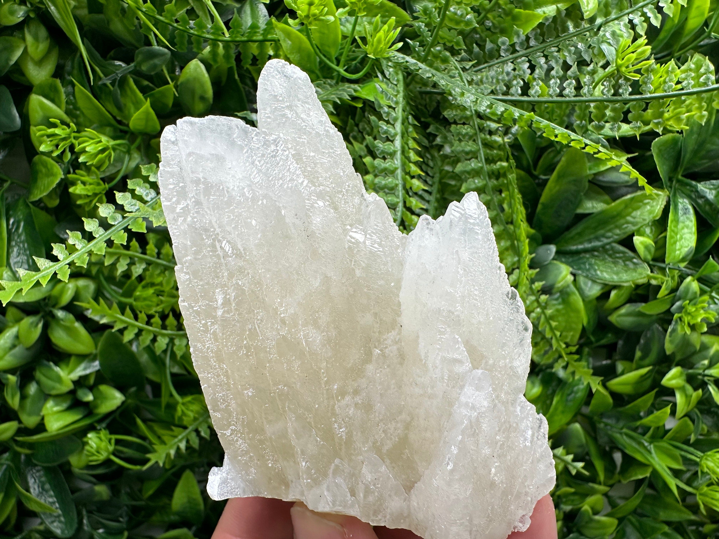 Rare UV Calcite Cluster: Djurcovo Mine, Bulgaria - Home Decor