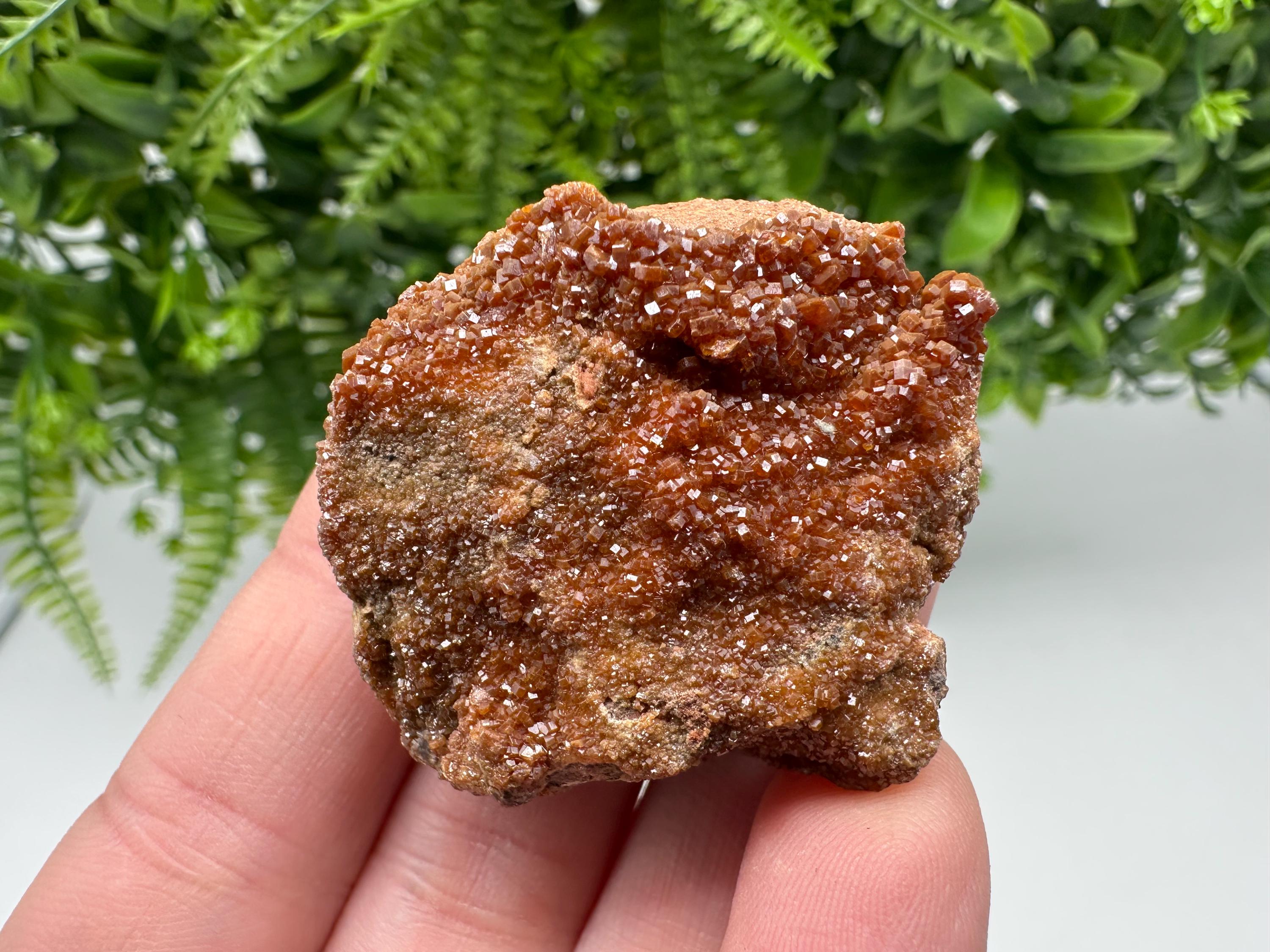 Red Vanadinite on Matrix from Marocco,crystal minerals Speciment cluster Vanadinite crystal Vanadinite Geology Vanadinite cluster minerals