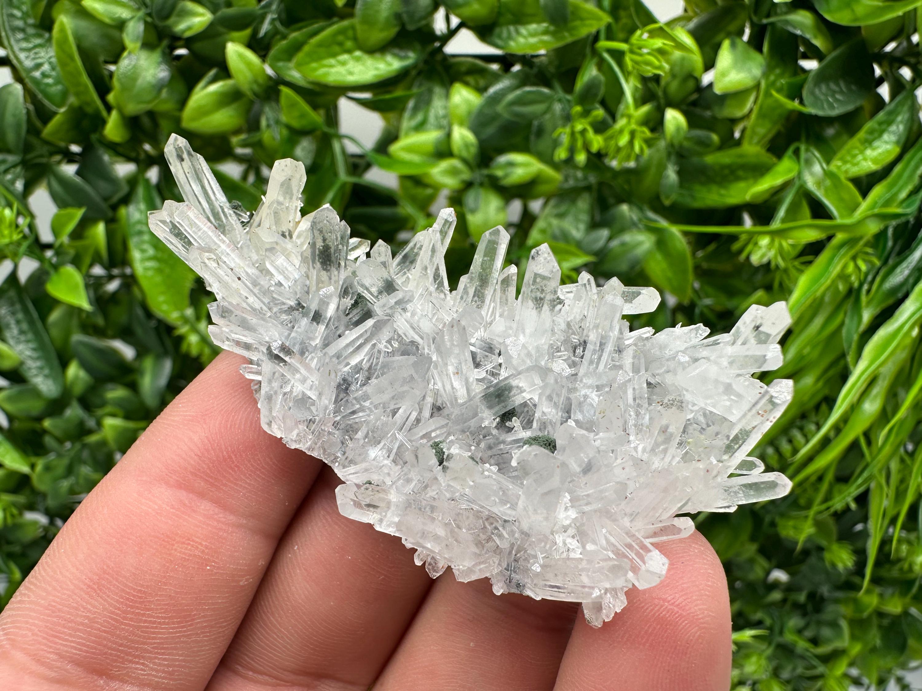 Chlorite Quartz Crystal Cluster - Borieva Mine, Bulgaria
