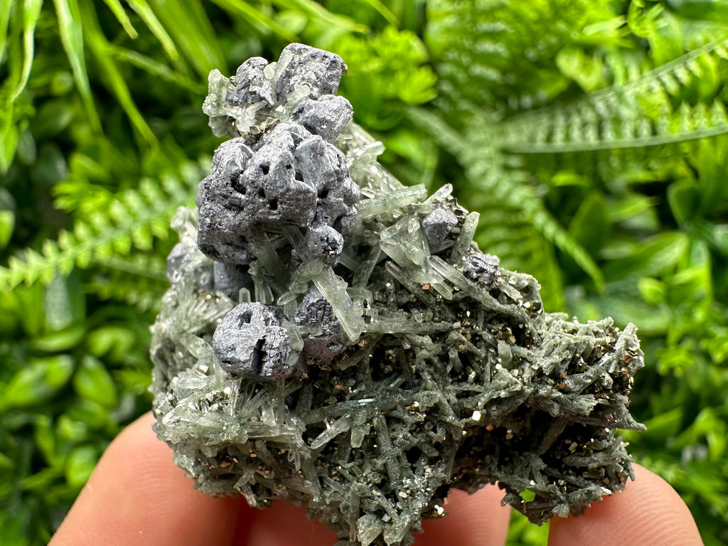 Galena Pyrite on Quartz: Borieva Mine Mineral Decor Stone