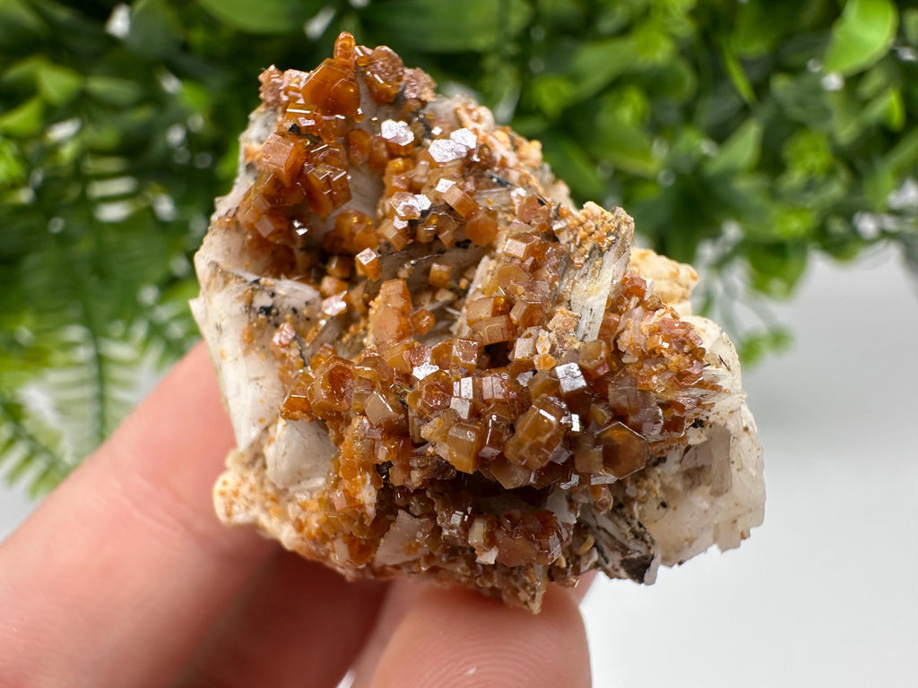 Red Vanadinite on Barite from Marocco,crystal minerals Speciment cluster Vanadinite crystal Vanadinite Geology Vanadinite cluster minerals