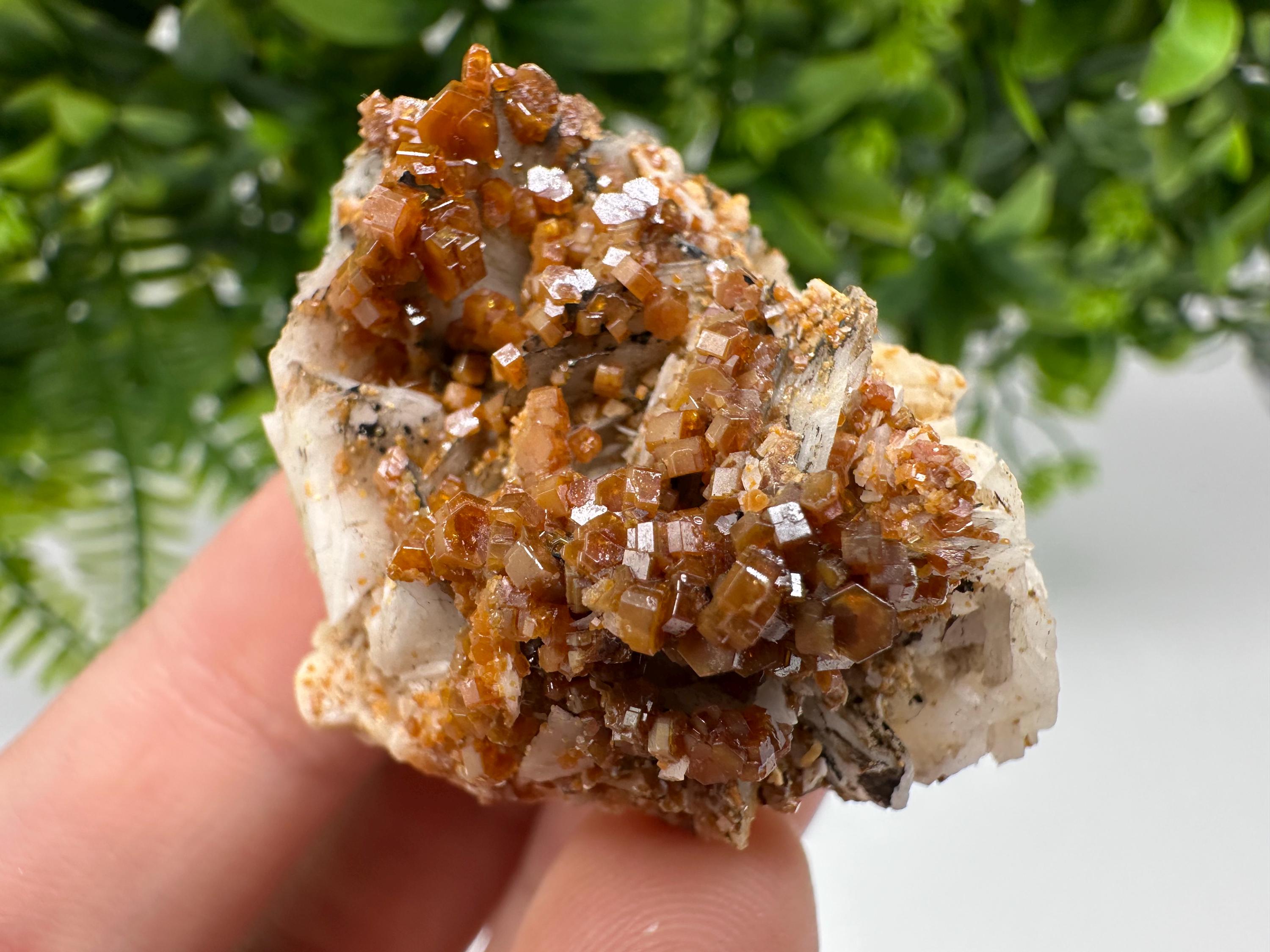 Red Vanadinite on Barite from Marocco,crystal minerals Speciment cluster Vanadinite crystal Vanadinite Geology Vanadinite cluster minerals