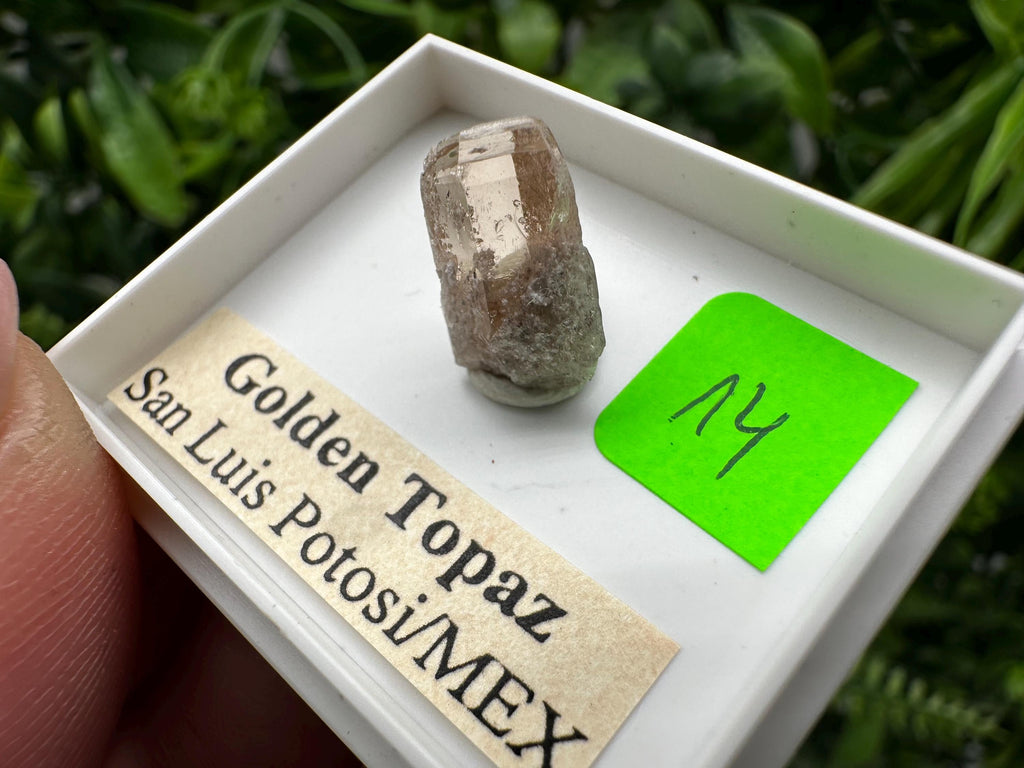 Golden Topaz Crystal, Mineral Specimen from Mexico
