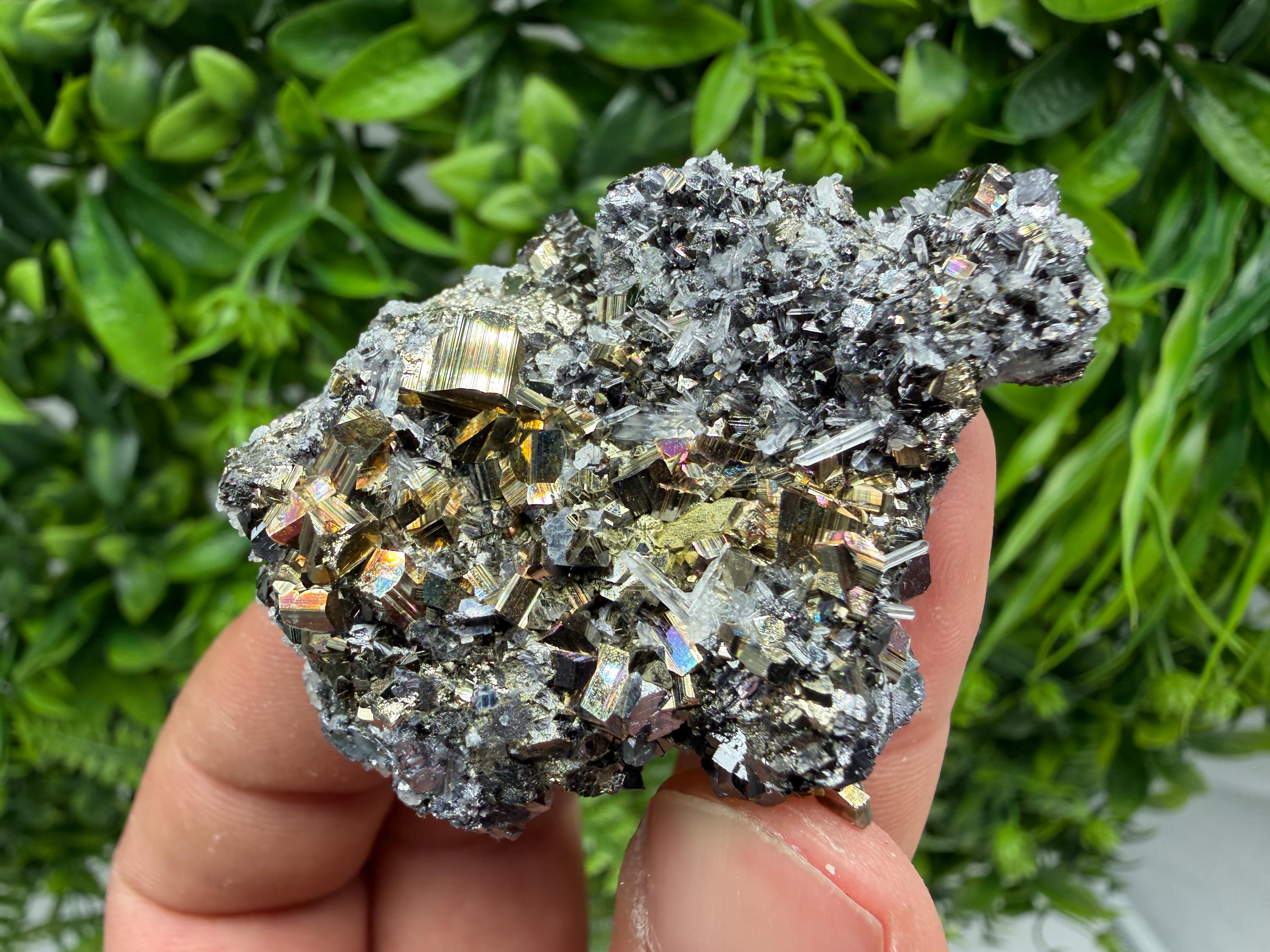 Pyrite Sphalerite Quartz  Mineral Specimen, Krushev dol Mine