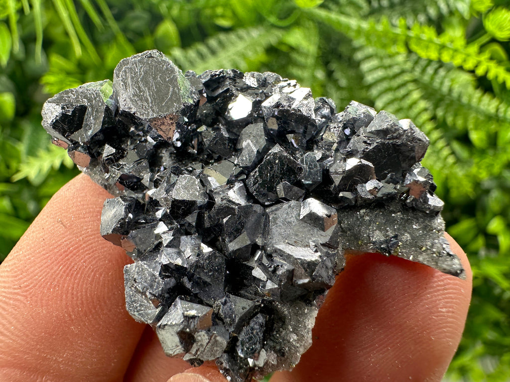 Shiny Galena on Quartz, Borieva Mine Bulgaria