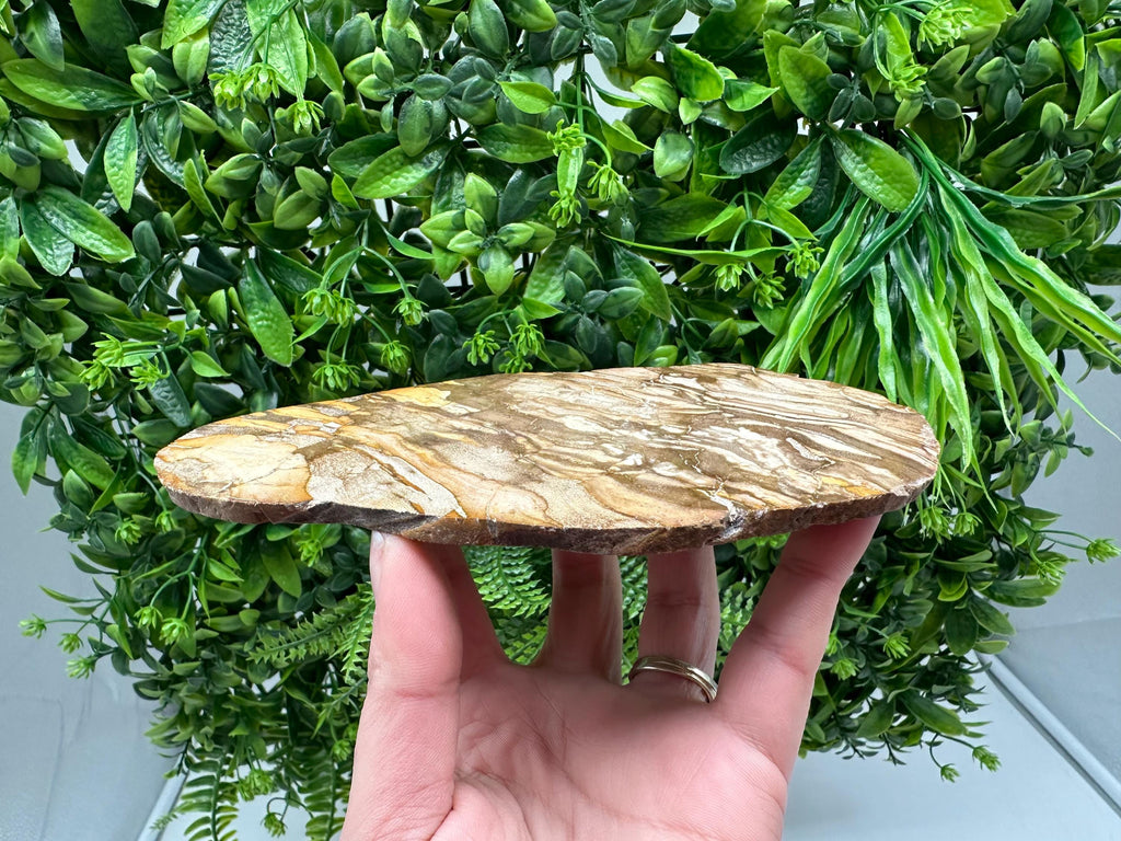 Polished Landscape Jasper Slab – Natural Scenic Stone Slice, Grounding Decor (18/11 CM)
