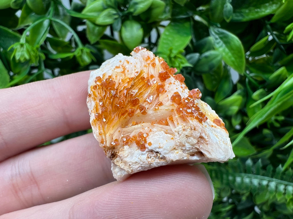 Red Vanadinite on Barite from Marocco,crystal minerals Speciment cluster Vanadinite crystal Vanadinite Geology Vanadinite cluster minerals