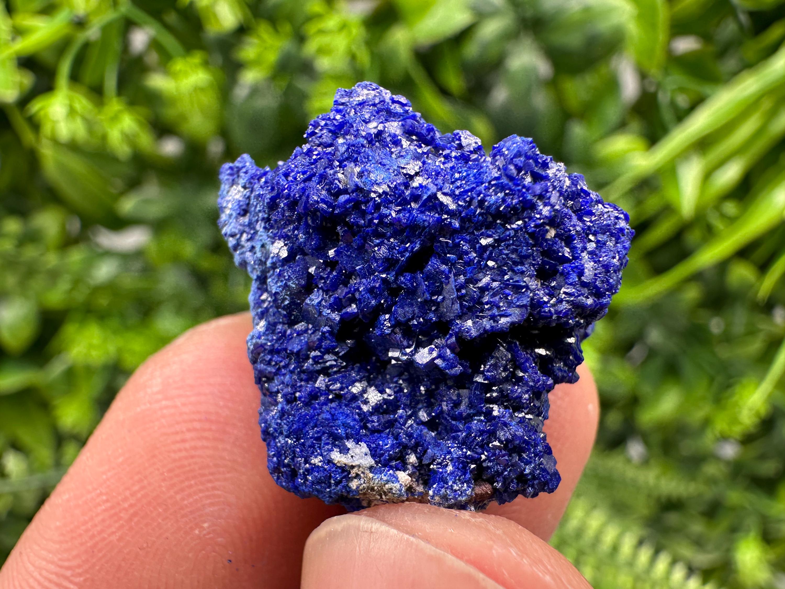 Crystallized Azurite-Kerrouchen,Morocco-Blue Azurite Specimen-High Quality Blue Azurite-Azurite Mineral Specimen, gemmy,lustrous of Azurite