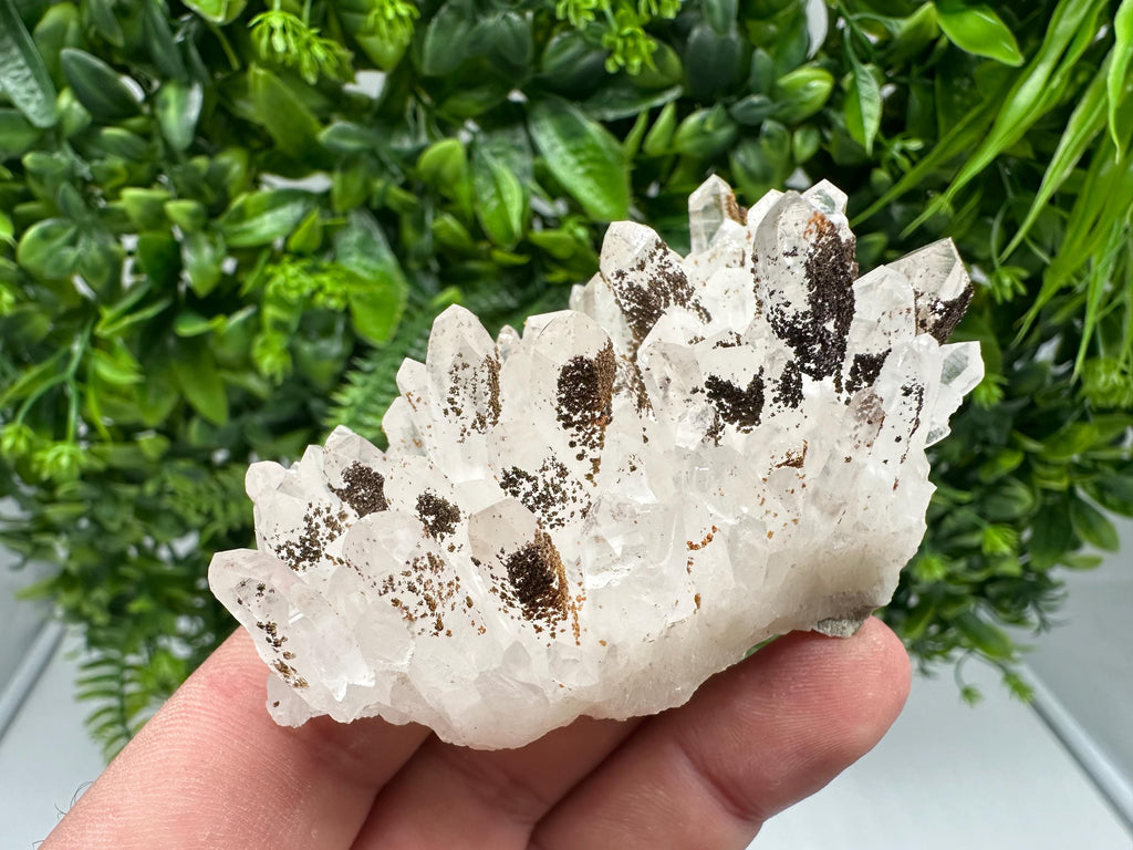 Transparent Quartz whit Siderite 9th September mine Bulgaria natural minerals souvenir crystal stone gift minerals collection rock