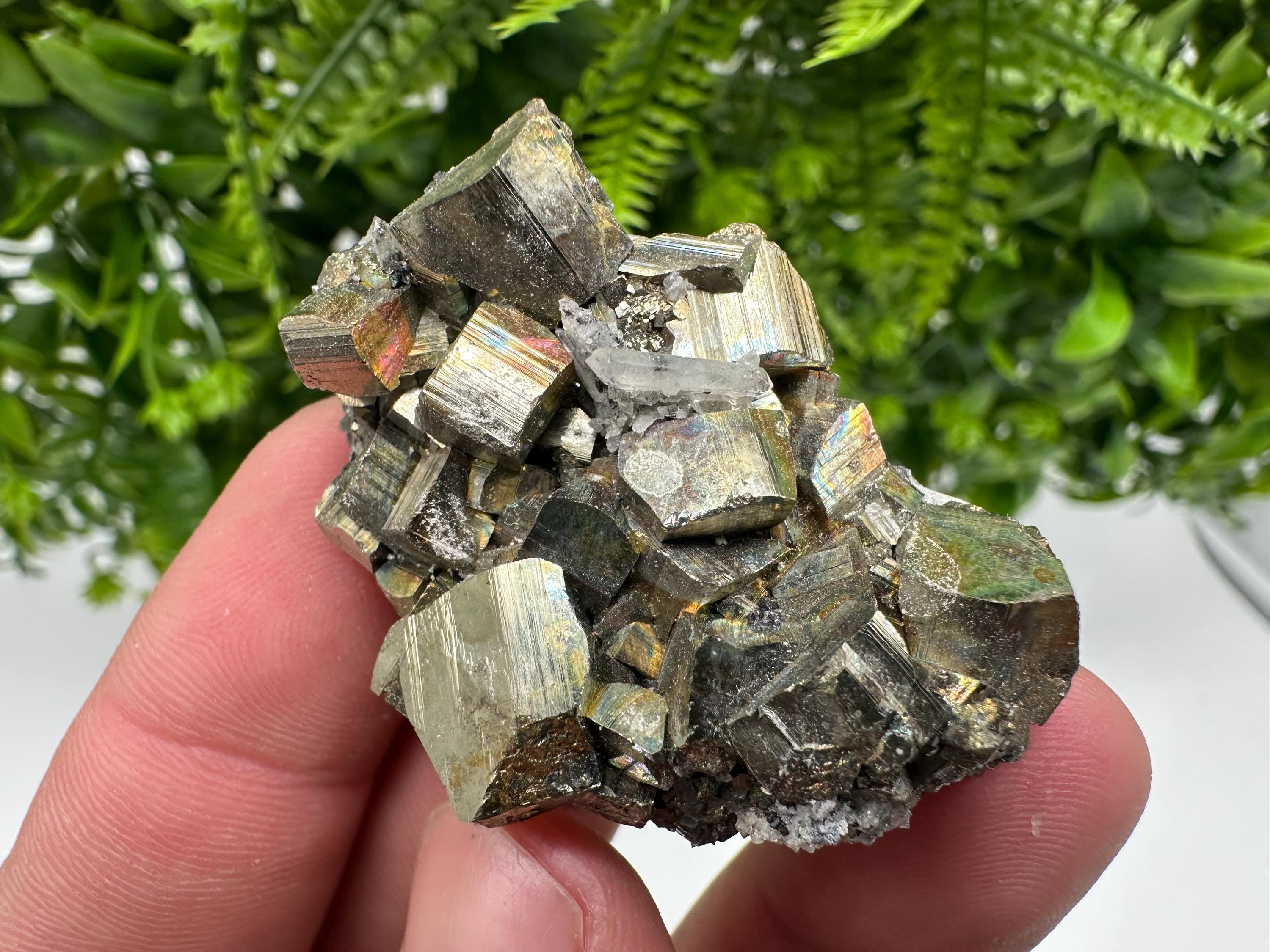 Rare Rainbow Pyrite Cluster: Borieva Mine, Bulgaria