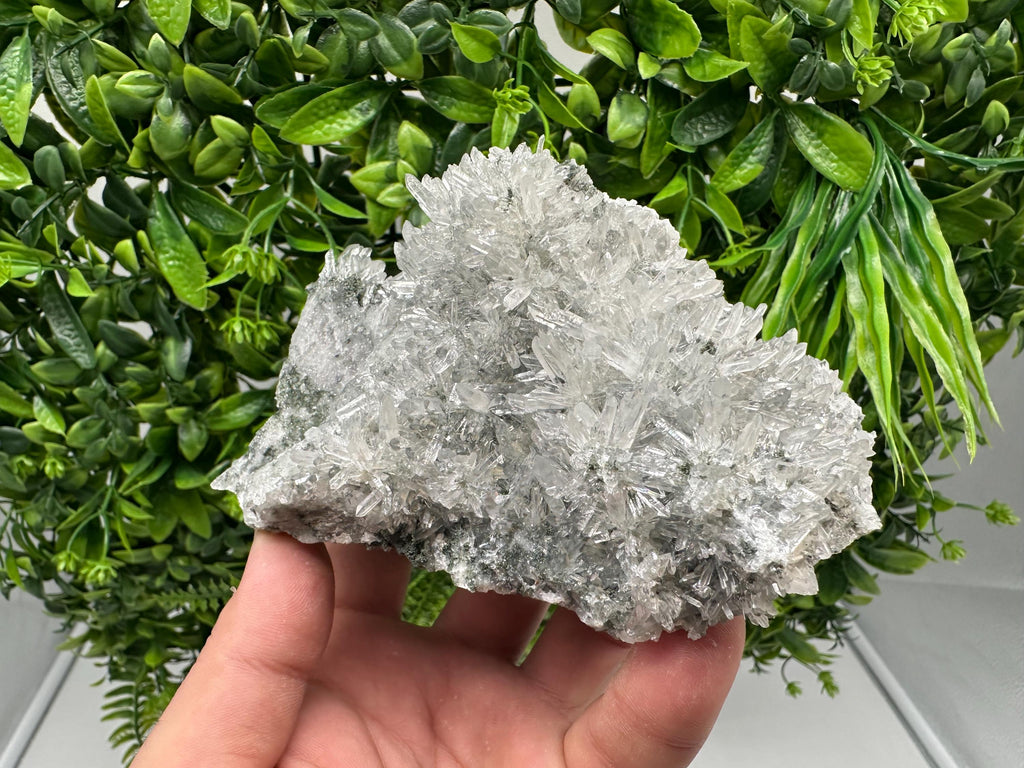 Transparent Quartz on Chlorite Matrix, Borieva Mine, Bulgaria