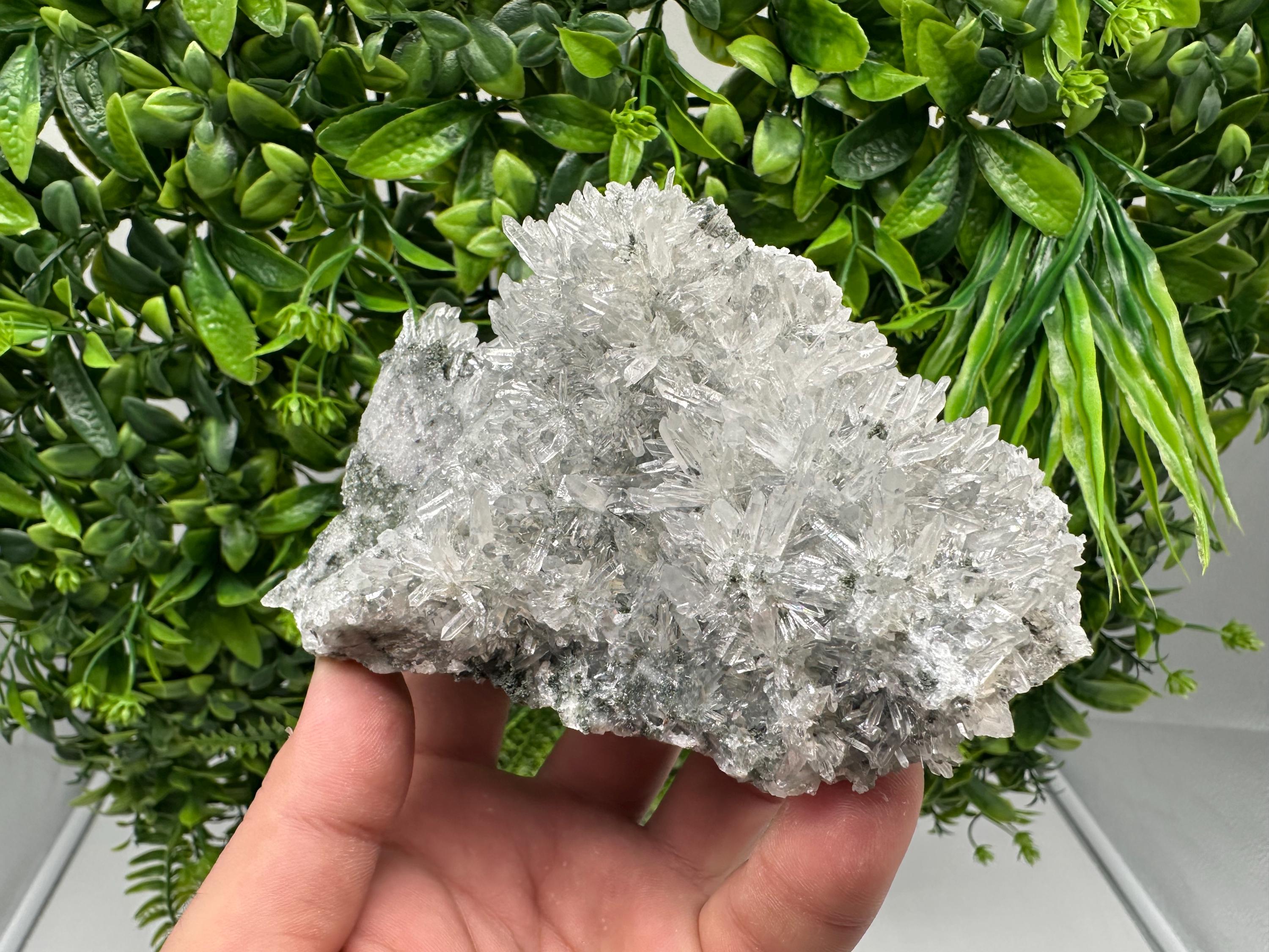 Transparent Quartz on Chlorite Matrix, Borieva Mine, Bulgaria