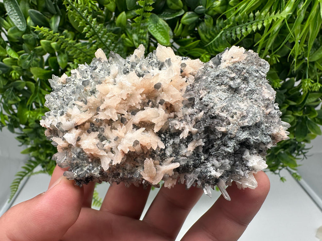 Calcite on Green Quartz: Djurcovo Mine, Bulgaria Crystal