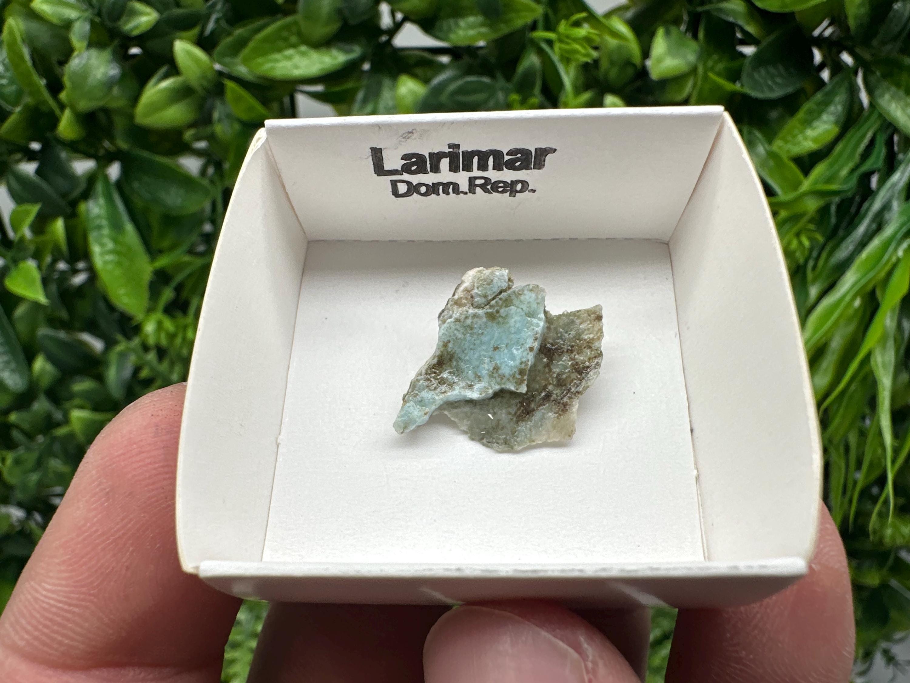 Rare Raw Larimar Specimen: Dom. Rep. Mineral Collection (20mm)