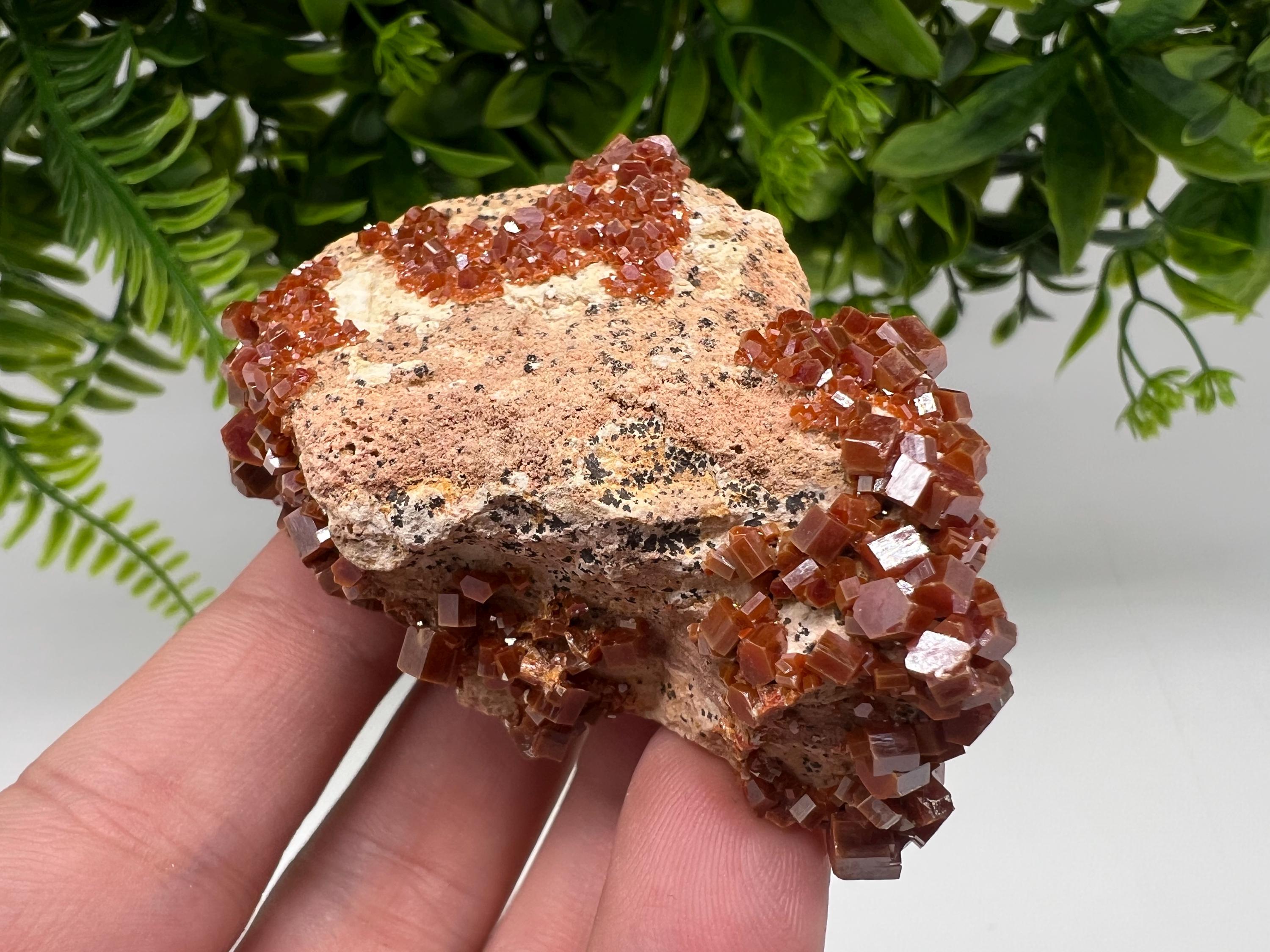 Red Vanadinite on Barite from Marocco,crystal minerals Speciment cluster Vanadinite crystal Vanadinite Geology Vanadinite cluster minerals