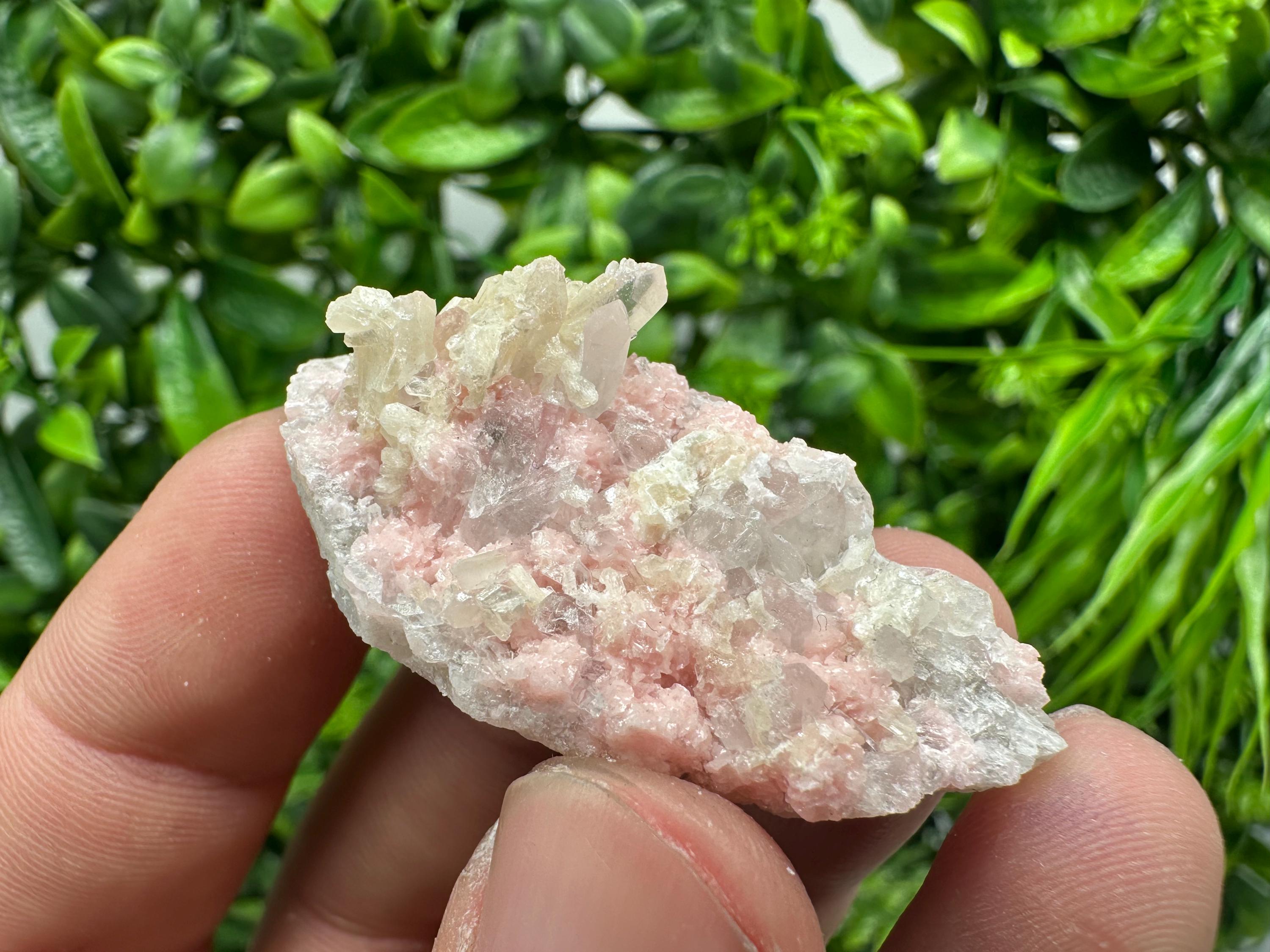 Rhodochrosite on Quartz, Starnica Mine, Bulgaria