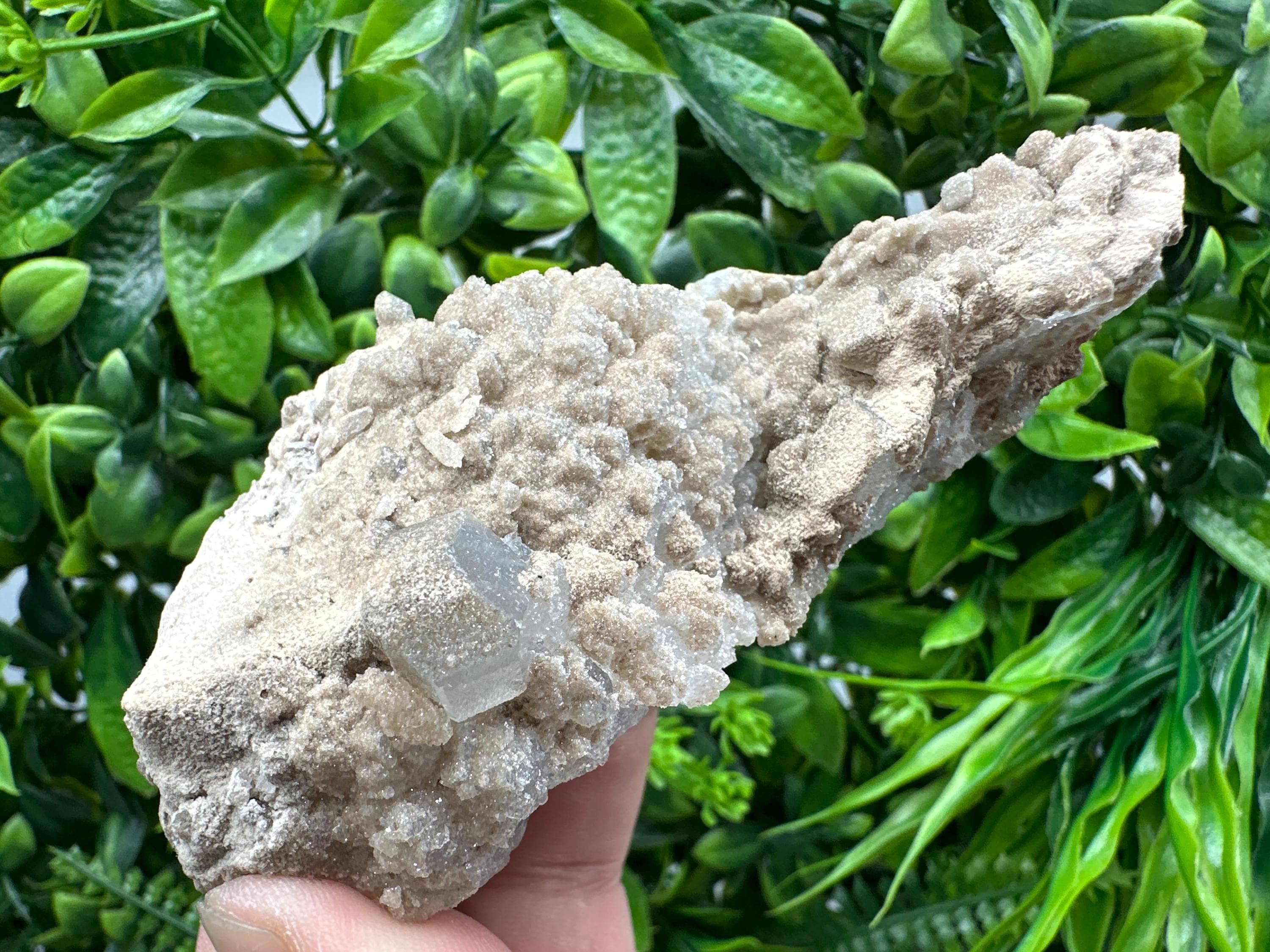 Transparent Apophyllite on Chalcedony, India Mineral Specimen