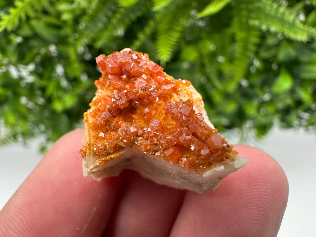 Red Vanadinite Crystal Cluster on Barite Matrix, Moroccan Mineral Specimen