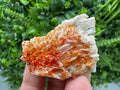 Red Vanadinite Crystal Cluster on Barite, Morocco Mineral Specimen