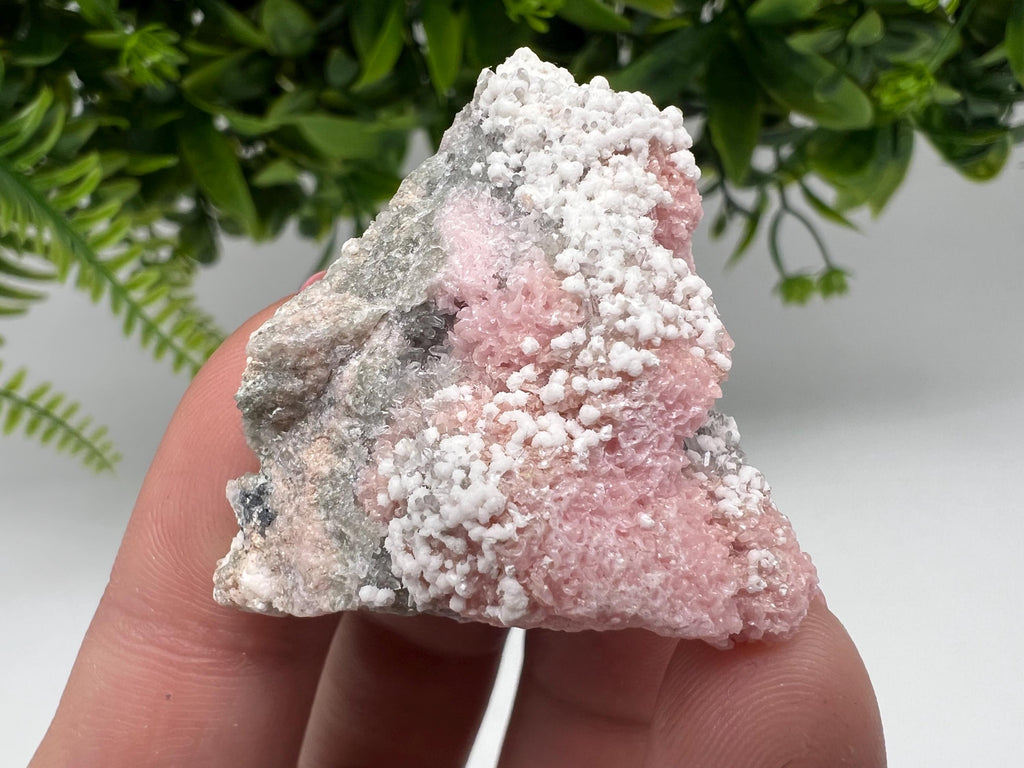 RARE Rhodochrosite with White Calcite, Starnica Mine, Bulgaria