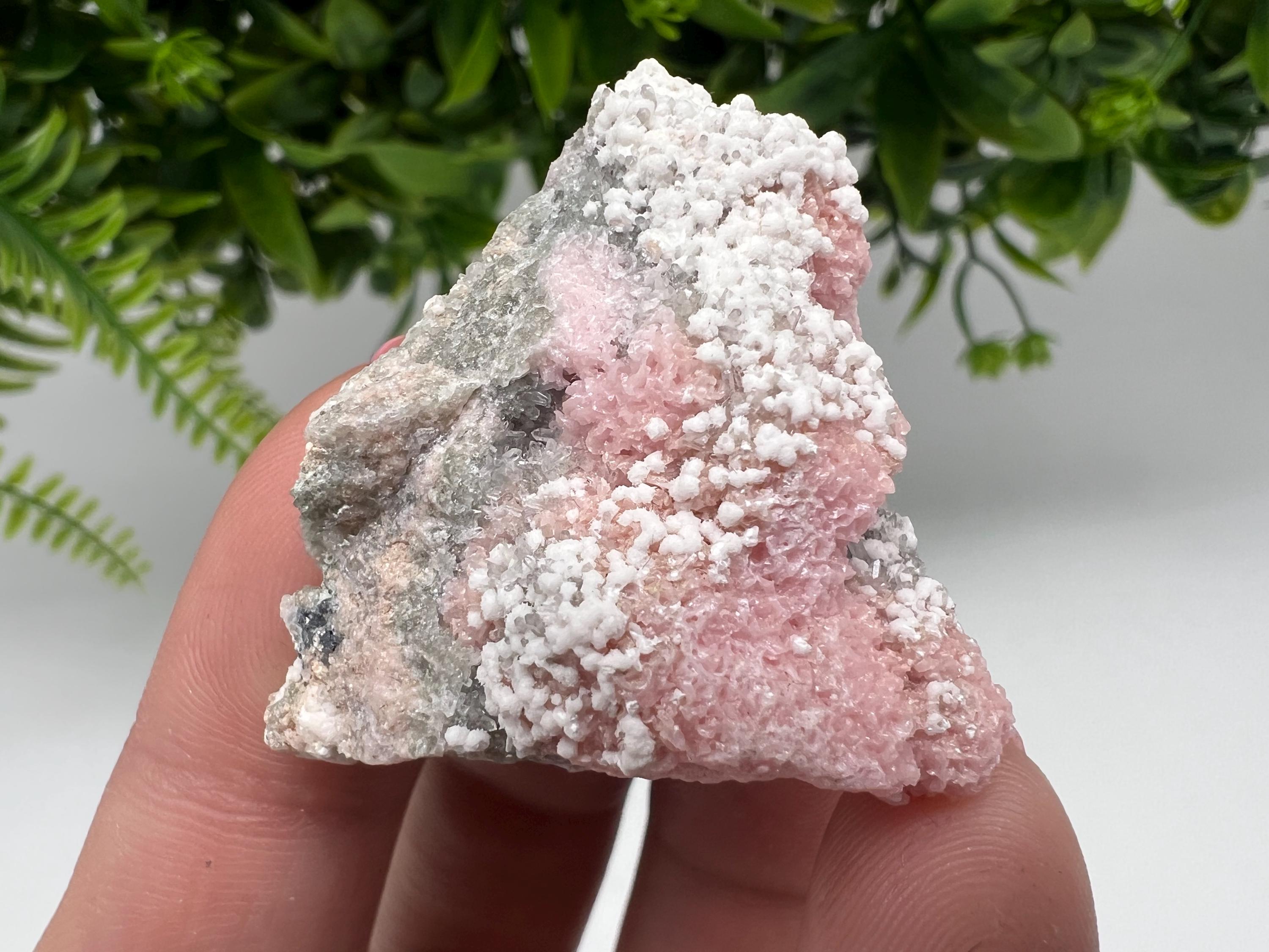 RARE Rhodochrosite with White Calcite, Starnica Mine, Bulgaria