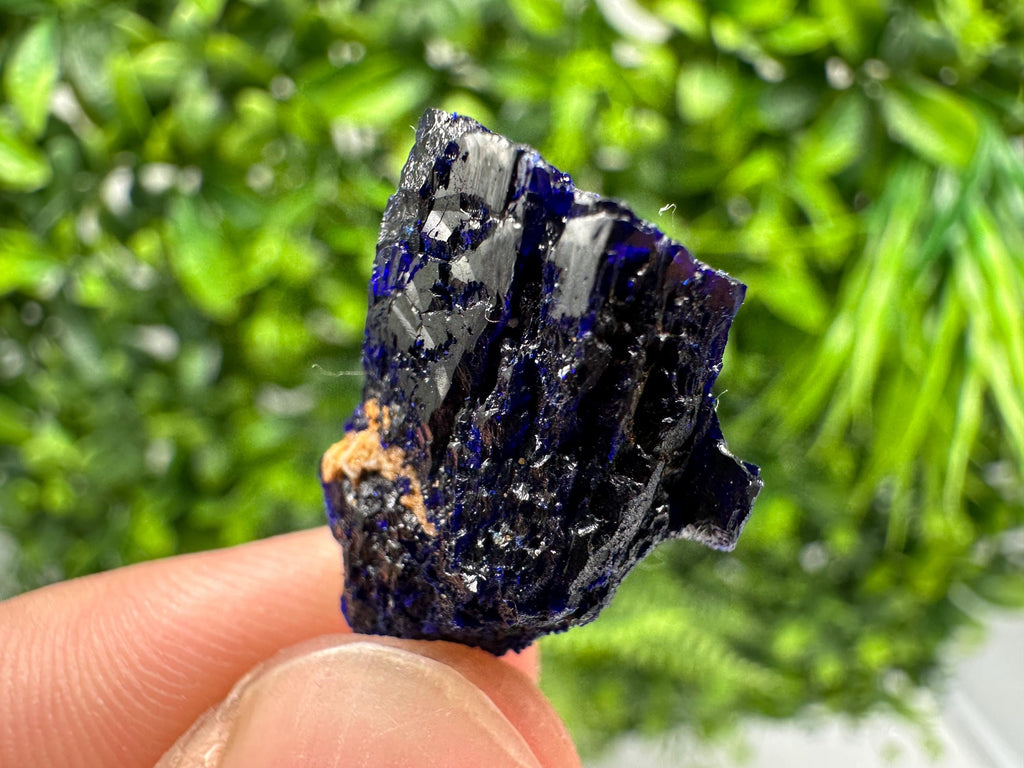 Crystallized Azurite-Kerrouchen,Morocco-Blue Azurite Specimen-High Quality Blue Azurite-Azurite Mineral Specimen, gemmy,lustrous of Azurite