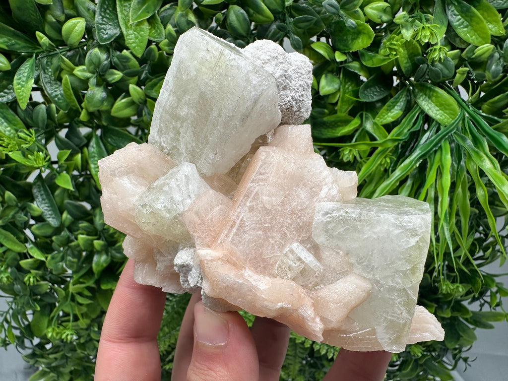 Apophyllite Stilbite on Chalcedony, India Crystal Mineral Specimen