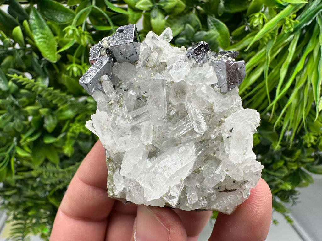 Aesthetic Natural shiny Galena whit Siderite and Quartz from 9 th September mine,Bulgaria,collection specimen,rare galena,Galena cluster