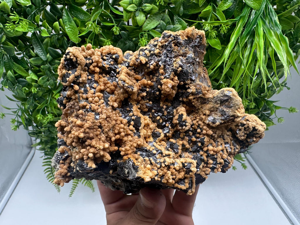 Skeletal Galena with Dolomite: Krushev Dol Mine, Bulgaria