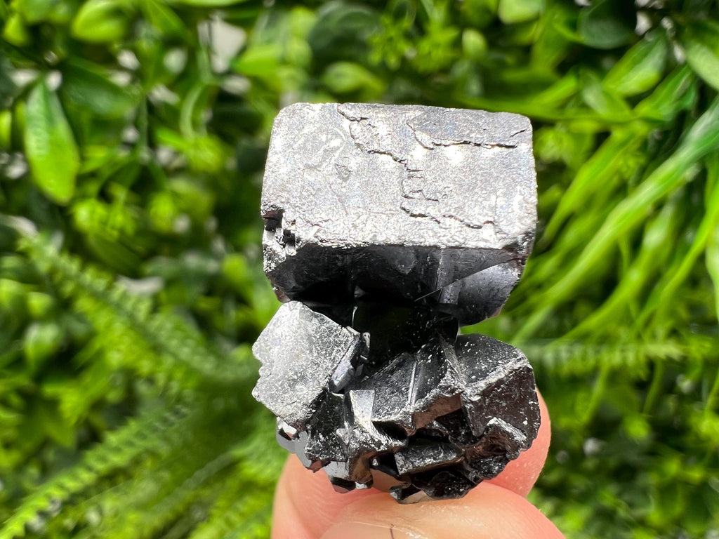 Shiny Galena Cluster: Borieva Mine, Madan Bulgaria