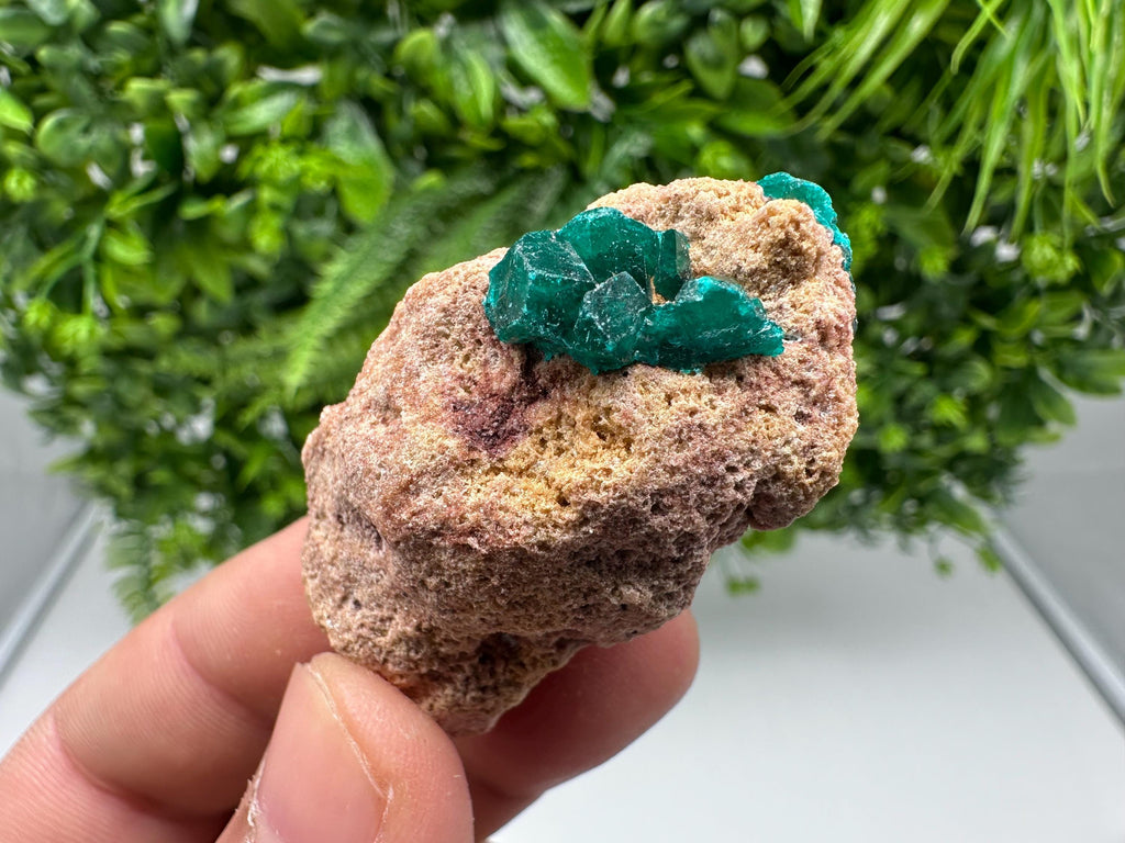 Stunning Green Dioptase from Sanda Hills,Mindouli,Pool Department,Mindouli District,Congo,green Dioptase,Dioptas Crystal,Dioptase collecting