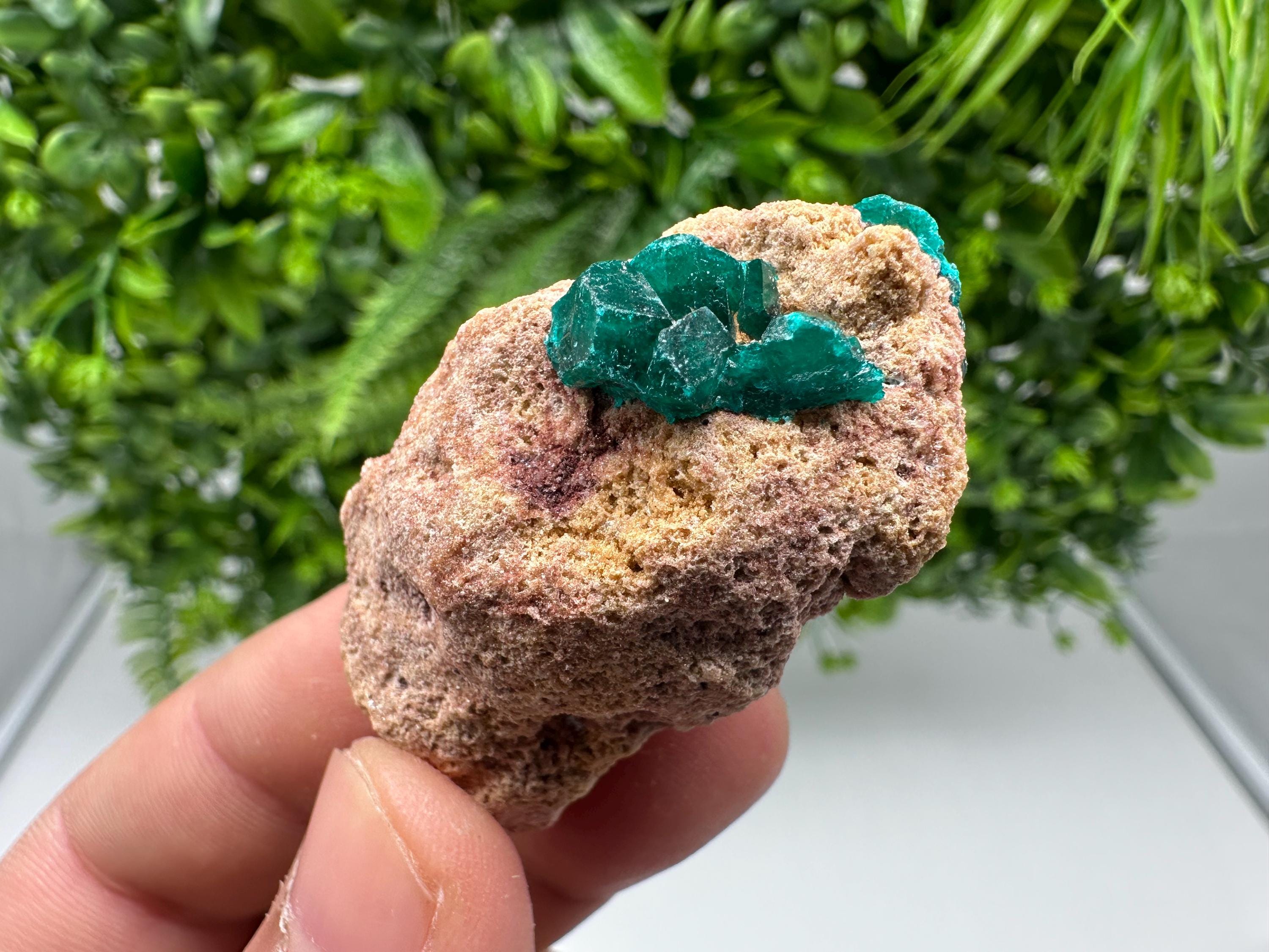 Stunning Green Dioptase from Sanda Hills,Mindouli,Pool Department,Mindouli District,Congo,green Dioptase,Dioptas Crystal,Dioptase collecting