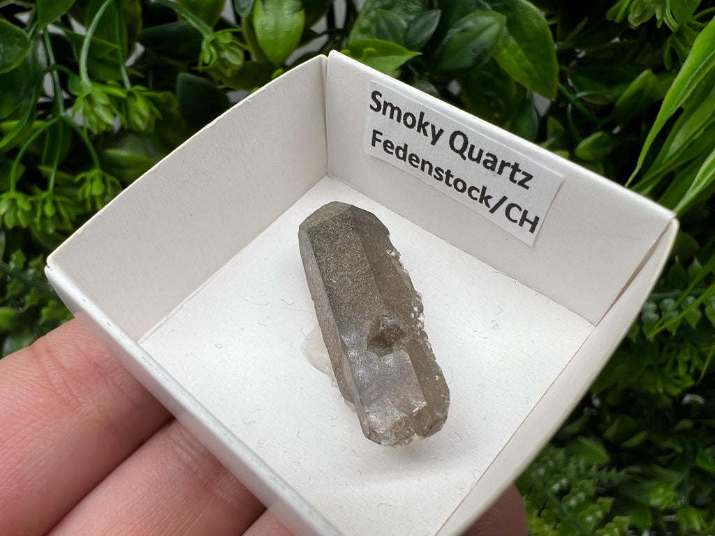 Rare Fedenstock Smoky Quartz Point, Switzerland Mineral Specimen (35MM)