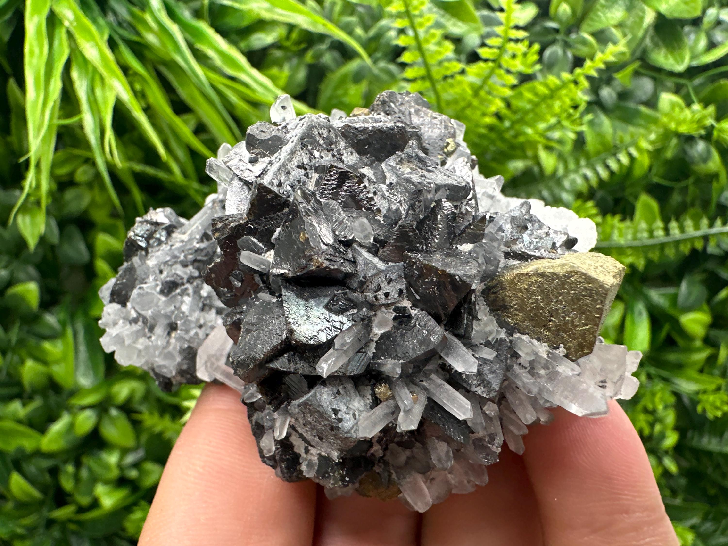 Chalcopyrite, Galena, Sphalerite on Quartz: Bulgaria Mineral Souvenir