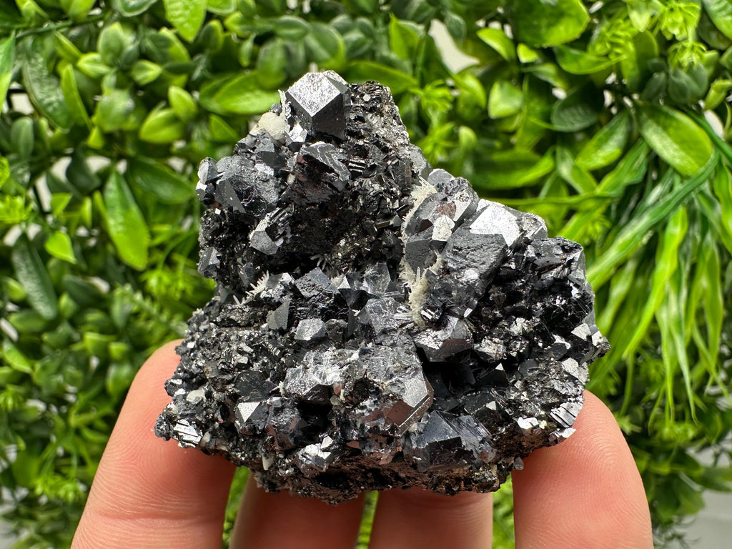 Aesthetic Sphalerite,Galena whit Chlorite from Borieva mine Madan Bulgaria natural minerals souvenir crystal gift home decor stone rock
