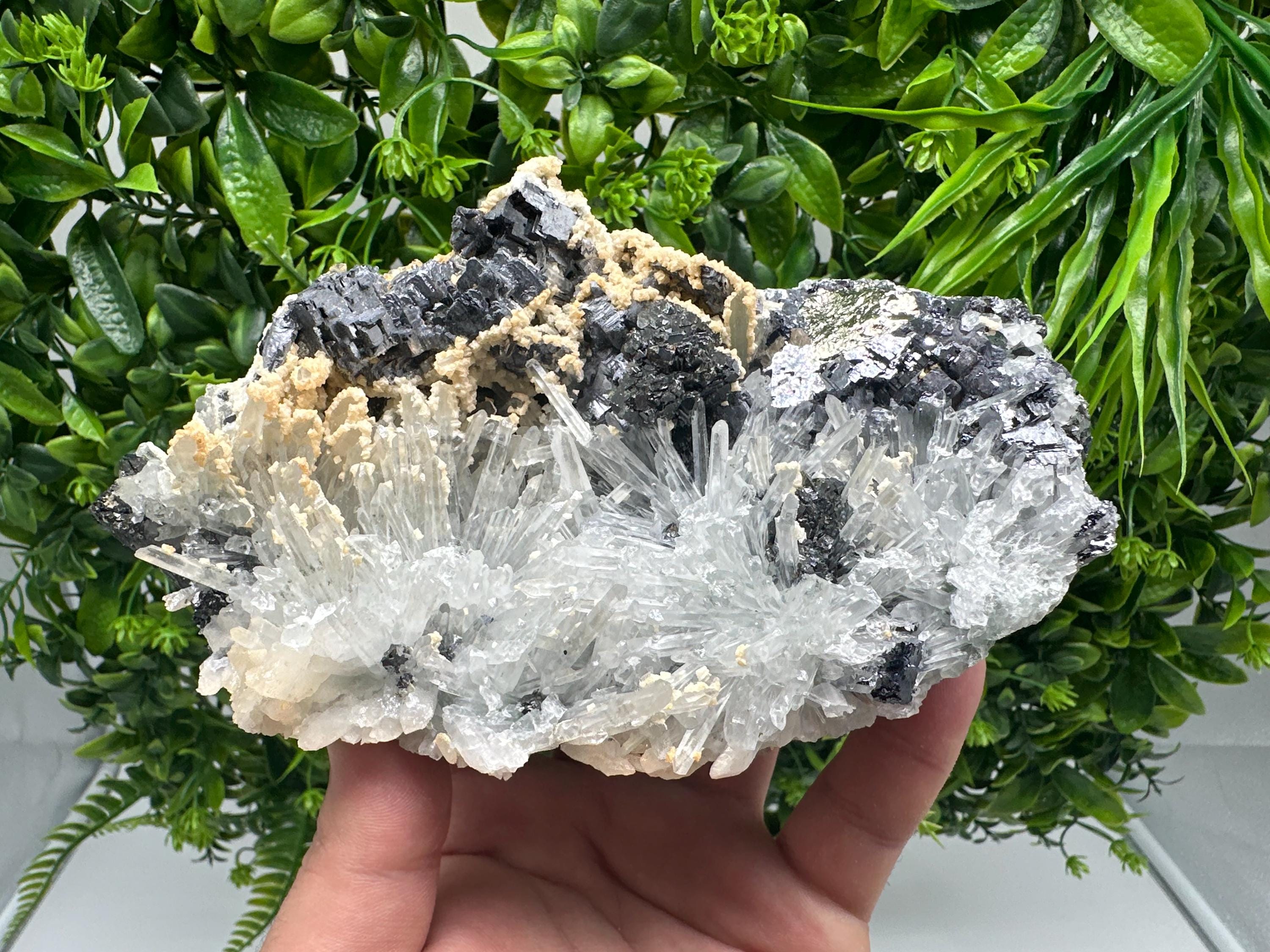 Galena Spinel Law on Quartz with Siderite, Krushev dol Mine, Bulgaria