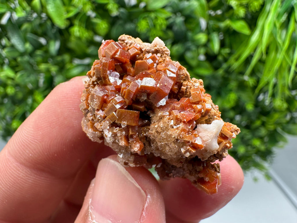 Red Vanadinite on Barite from Marocco,crystal minerals Speciment cluster Vanadinite crystal Vanadinite Geology Vanadinite cluster minerals