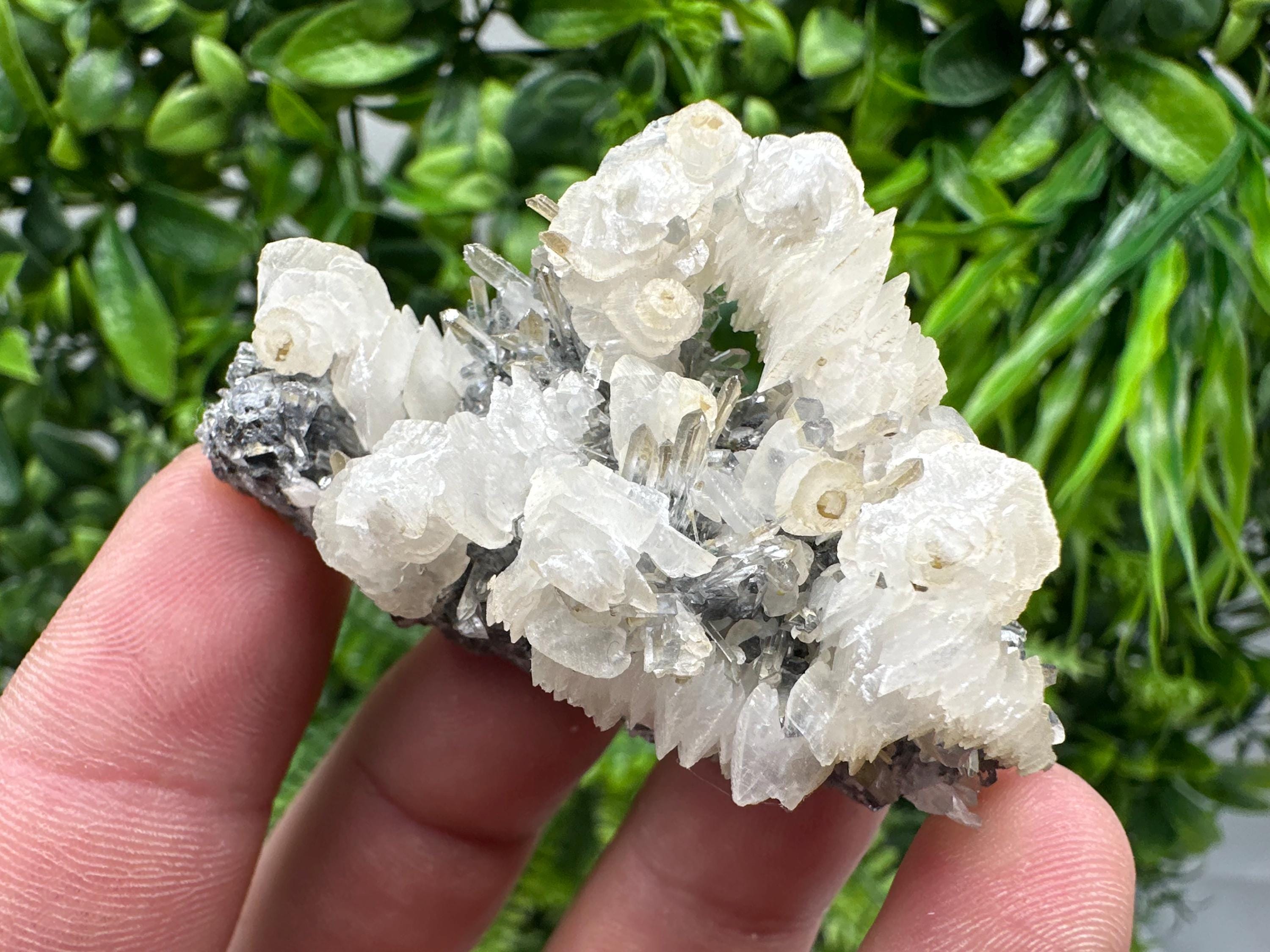 Quartz with Calcite and Chlorite: Borieva Mine Crystal Souvenir