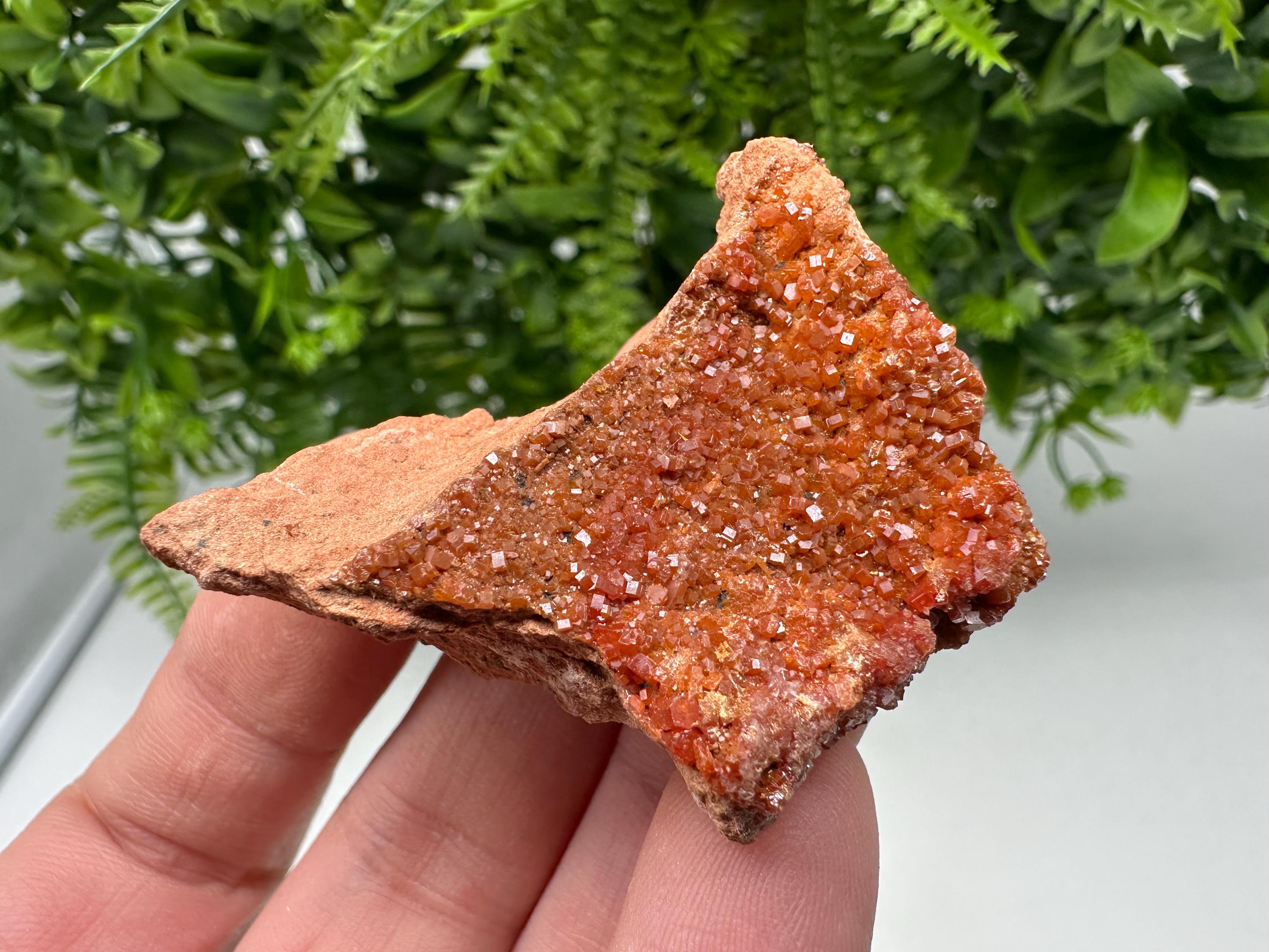 Red Vanadinite on Matrix from Marocco,crystal minerals Speciment cluster Vanadinite crystal Vanadinite Geology Vanadinite cluster minerals